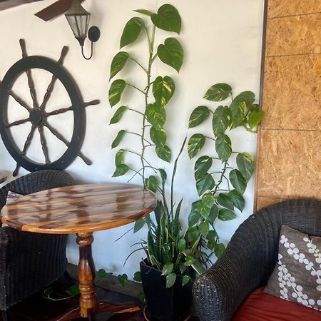 Cabo Tortuga Hotel Boutique كابو سان لوكاس المظهر الخارجي الصورة